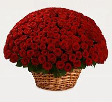 Премиум букет из: Розы в Мулловке